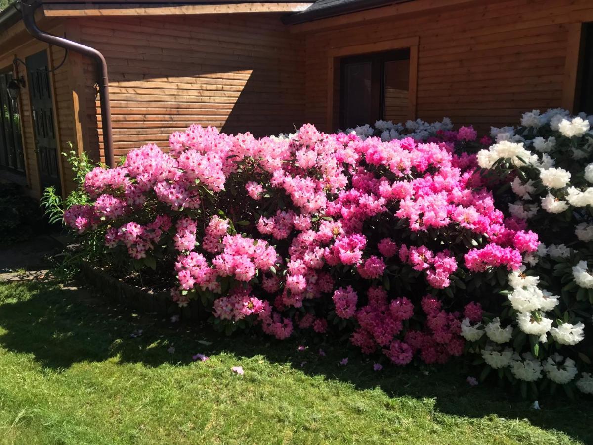 The Gorgeous Log House, That Brings Out The Smile! Hara